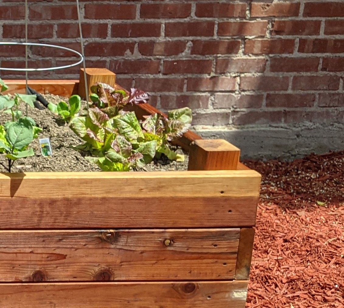Raised Garden Bed made with Redwood