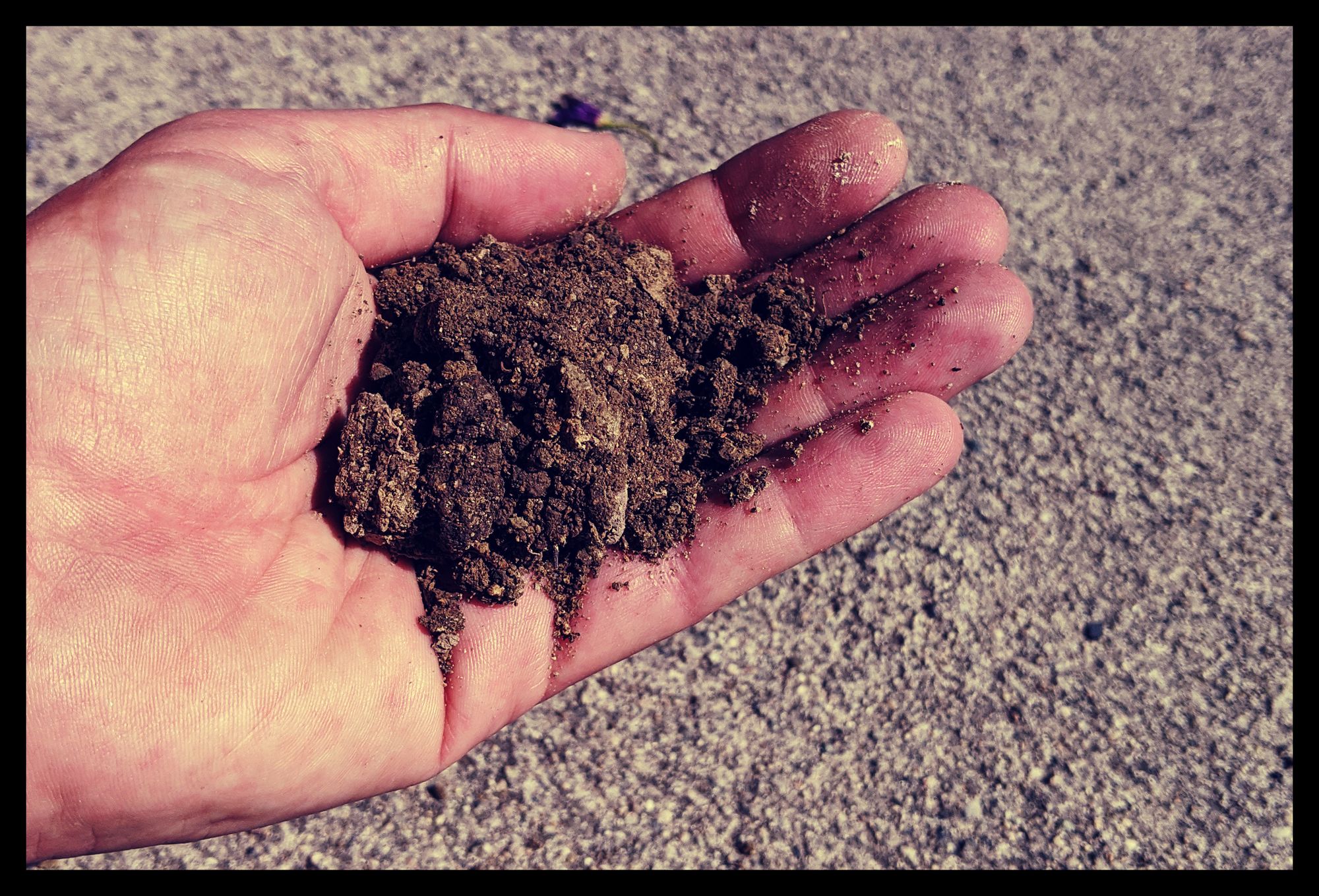 Testing soil by hand