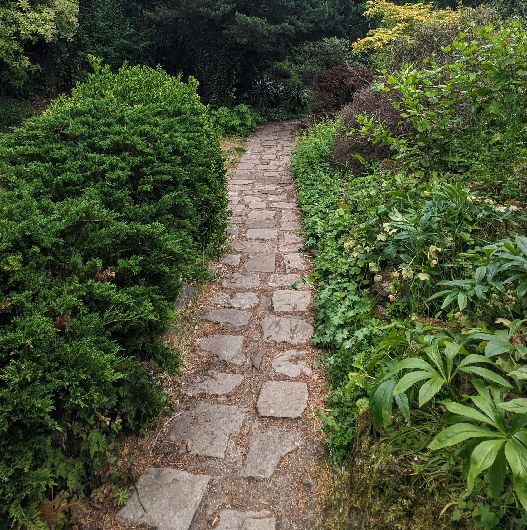 Paved Path