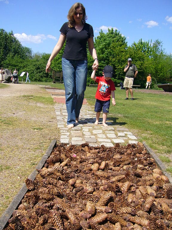 Sensory Garden with tactile pathway