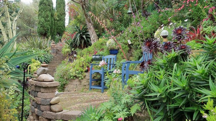 Garden Ideas for Slopes