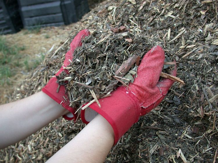 Mulch in your Garden