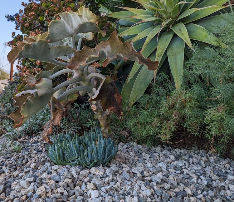 Gravelscaping