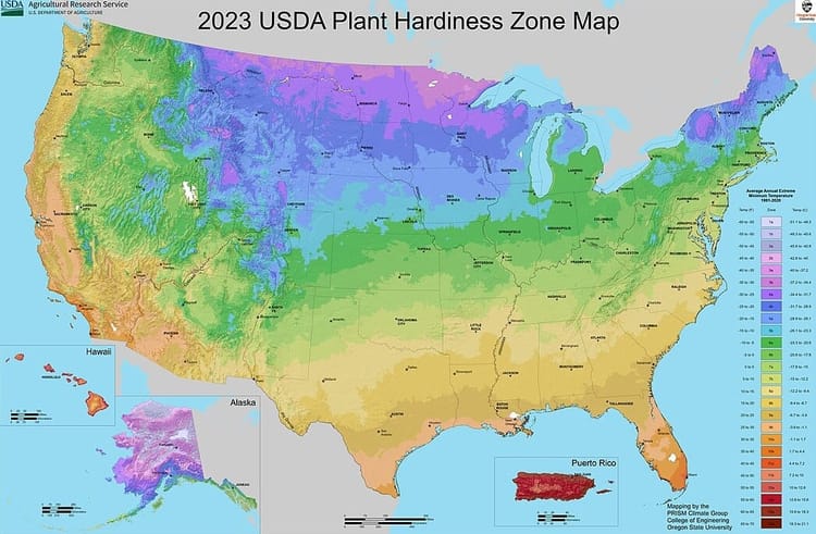 Plant Hardiness