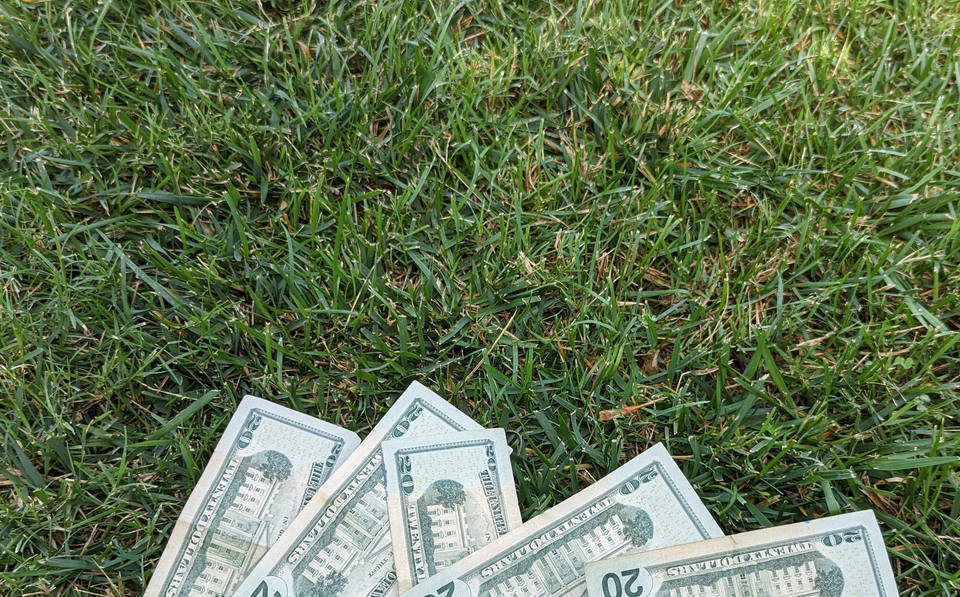 Cash on a Lawn