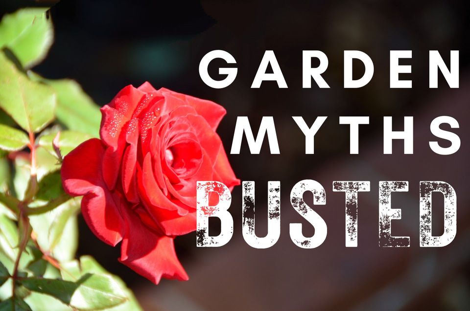 Common Gardening Myths