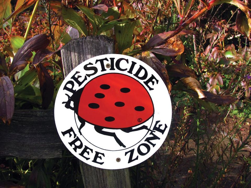 Pesticide Free Zone Sign