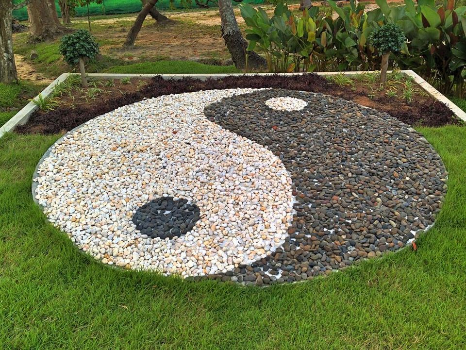 The Art of Feng Shui in Your Garden: A Harmonious Oasis