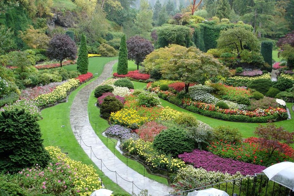 Curved pathway in Botanical Garden