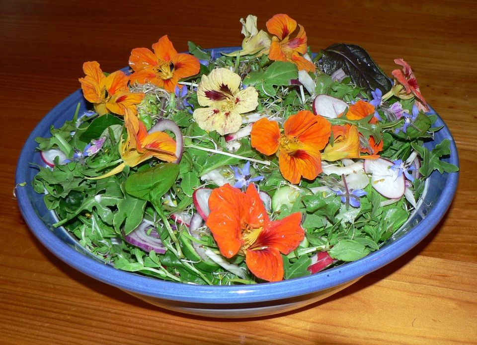 Salad with edible flowers of Nasturtium