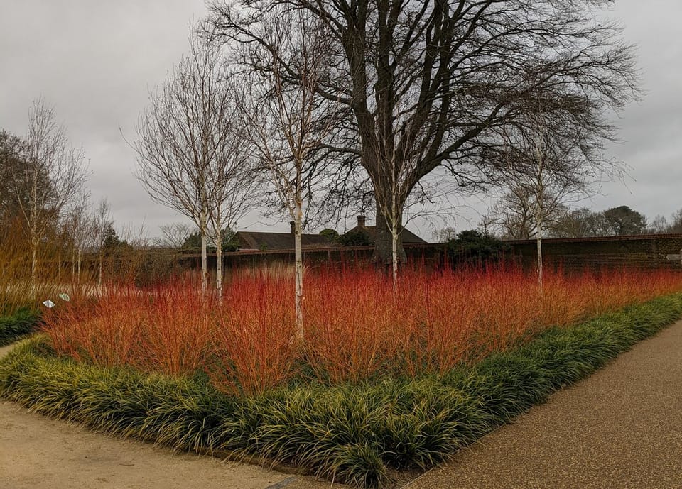 Winter Garden at Wakehurst