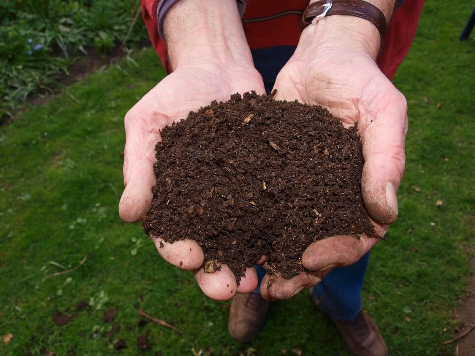 Holding compost in hands